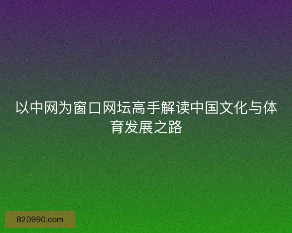 以中网为窗口网坛高手解读中国文化与体育发展之路